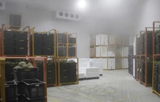 榴蓮放在冷庫里環境溫度是多少℃