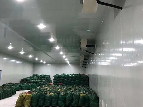 雪域制冷：如何建造一個(gè)性?xún)r(jià)比高的冷庫(kù)