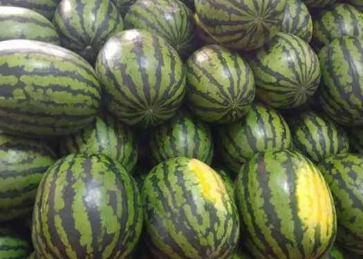 600立方米西瓜氣調冷庫價格多少錢 600立方米西瓜氣調冷庫價格多少錢