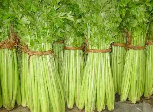 冷庫蔬菜保鮮多少度？