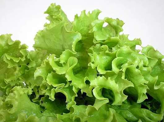 冷庫蔬菜保鮮多少度？