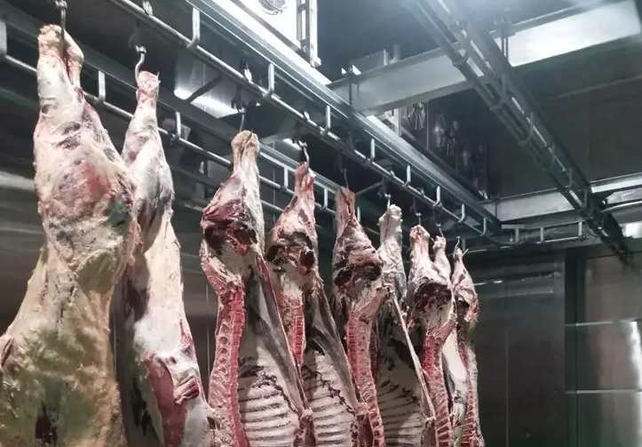肉類冷凍庫(kù)有什么作用